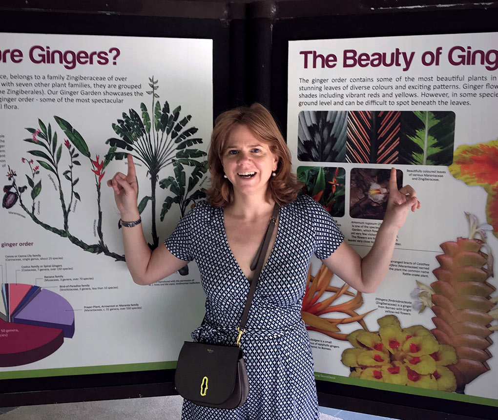 How did you get there? Amy Cashman | Significant Insights